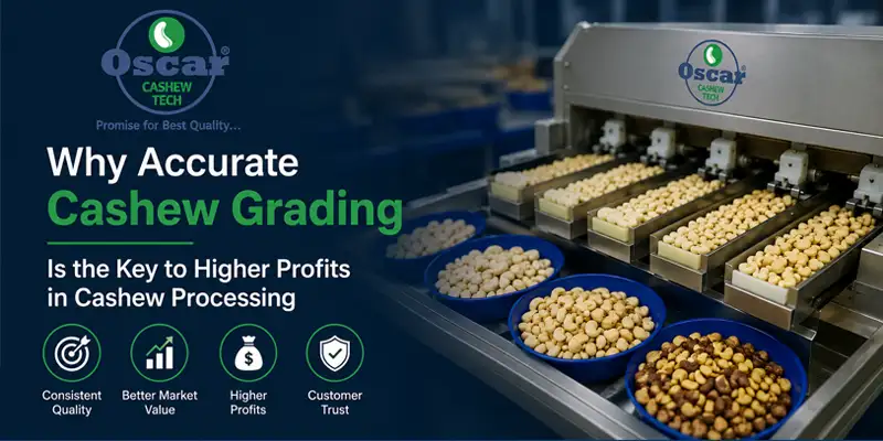 Accurate Cashew Grading for Higher Profits