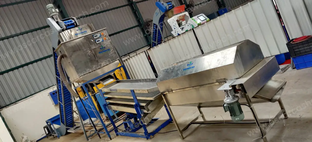 Automatic Cashew Nut Peeling Machine