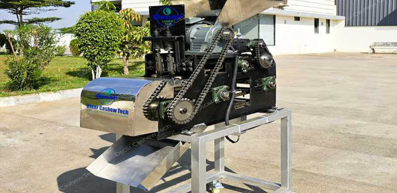 Automatic Cashew Shell Cutting Machine