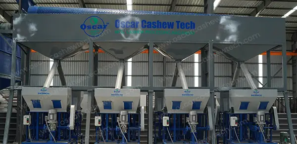 Automatic Cashew Shell Cutting Machine