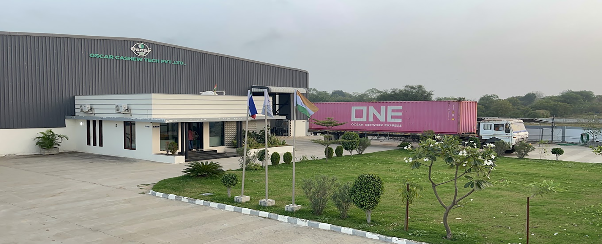 Cashew Processing Machine on Turnkey Basis