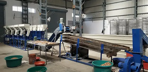 Fully Automatic Cashew Nut Processing Plant