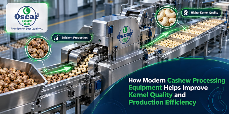 How Modern Cashew Processing Equipment Helps Improve Kernel Quality and Production Efficiency
