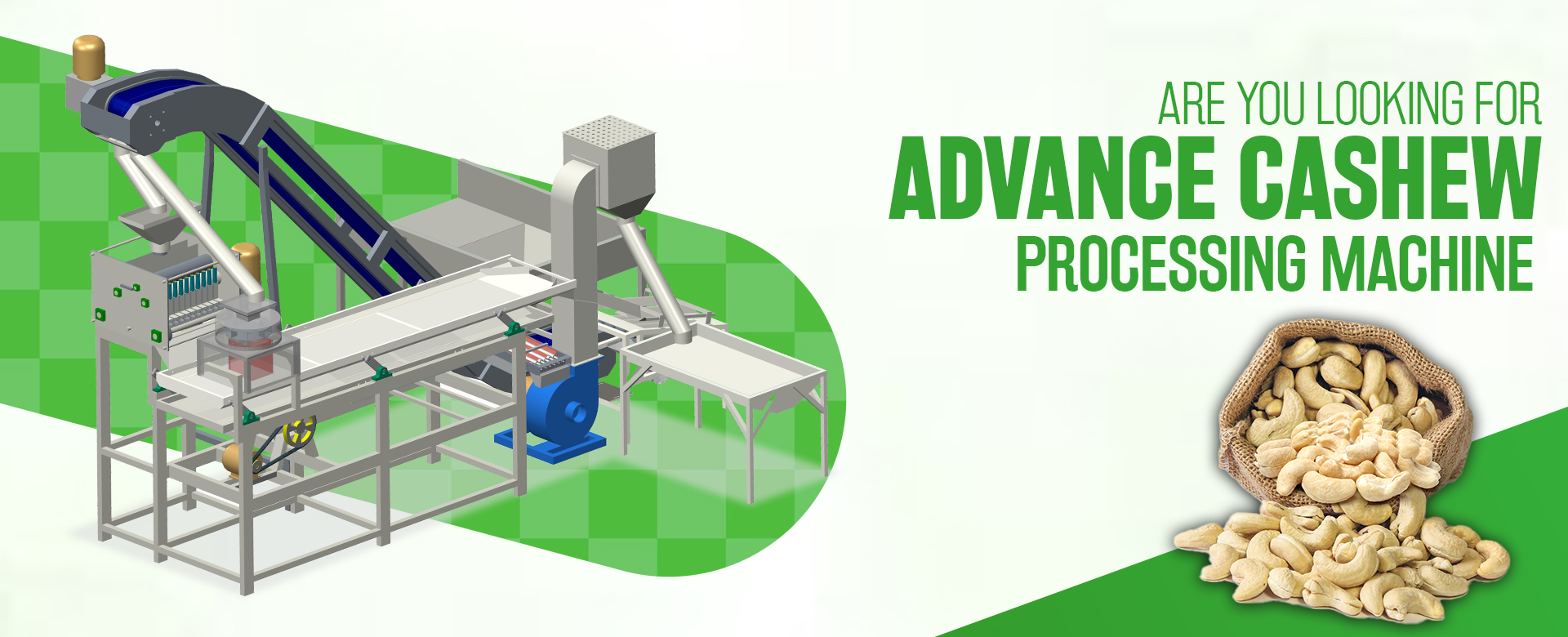 Automatic Cashew Project