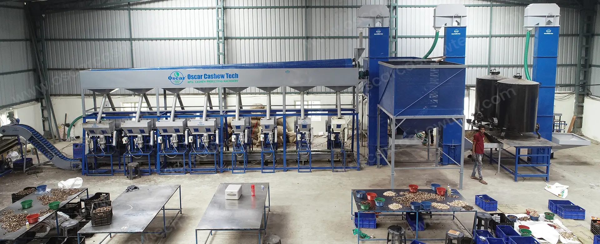 Modern Fully Automatic Cashew Nut Processing Plant