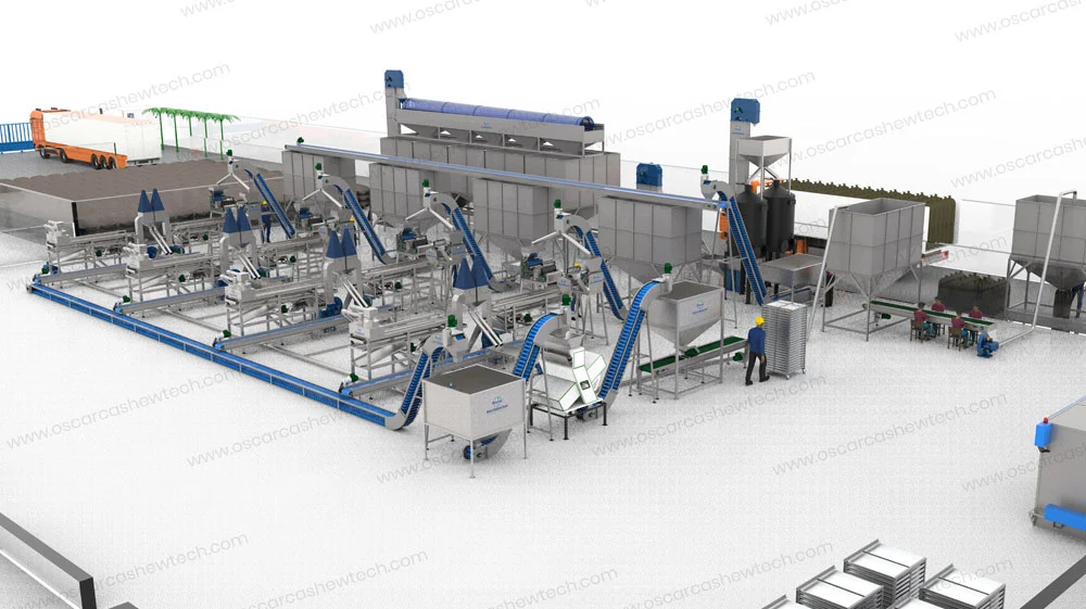 ultra modern fully automatic cashew nut processing plant on turnkey basis ahmedabad