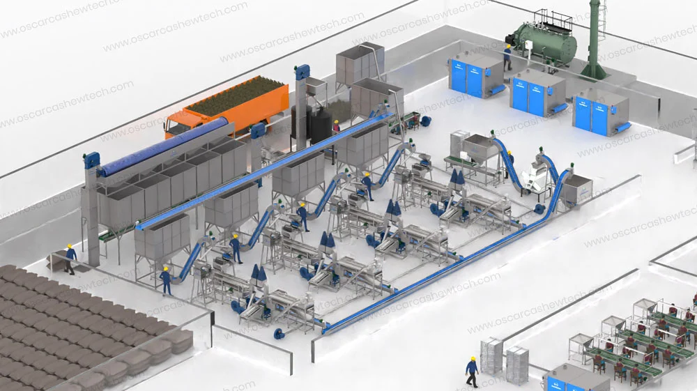 ultra modern fully automatic cashew nut processing plant on turnkey basis ahmedabad