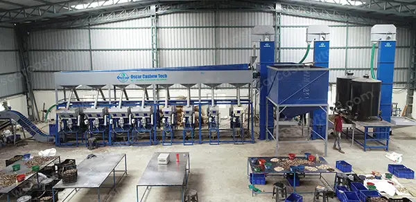 Ultra Modern Cashew Nut Processing Plant on Turnkey Basis Manufacturer